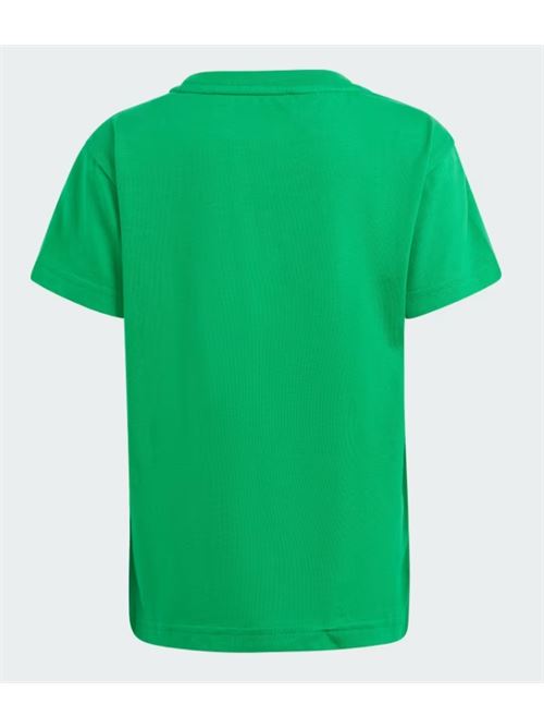 trefoil tee ADIDAS ORIGINAL | IR6884GREEN